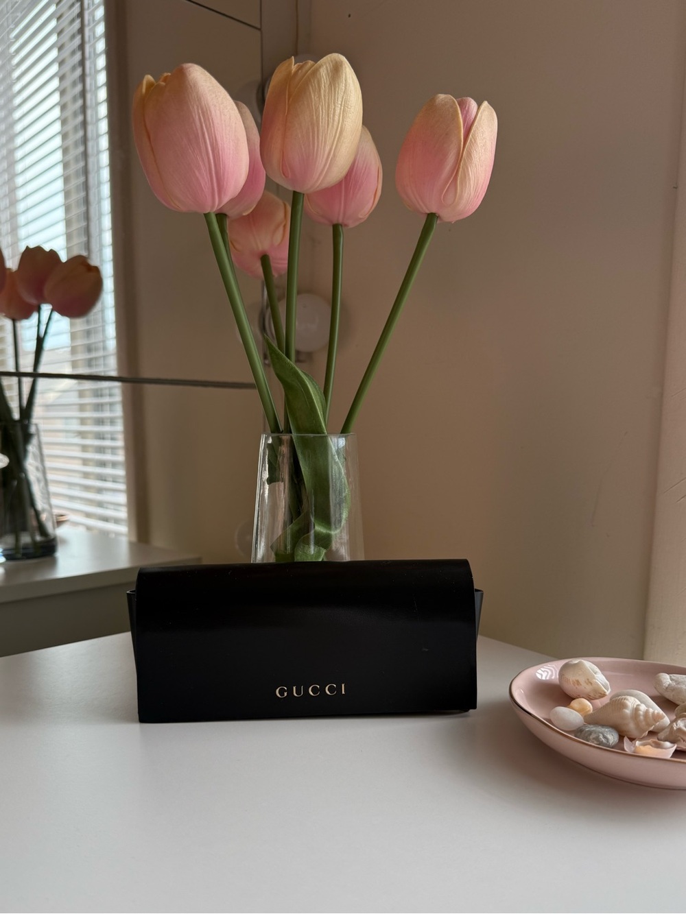 Gucci Sunglasses Case